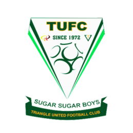 特赖安格尔队标,特赖安格尔图片