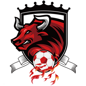 苏州恒驰女足队标,苏州恒驰女足图片