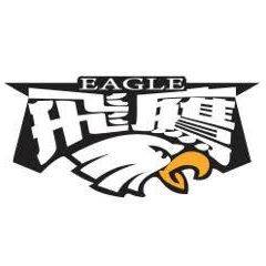 飞鹰队标,飞鹰图片